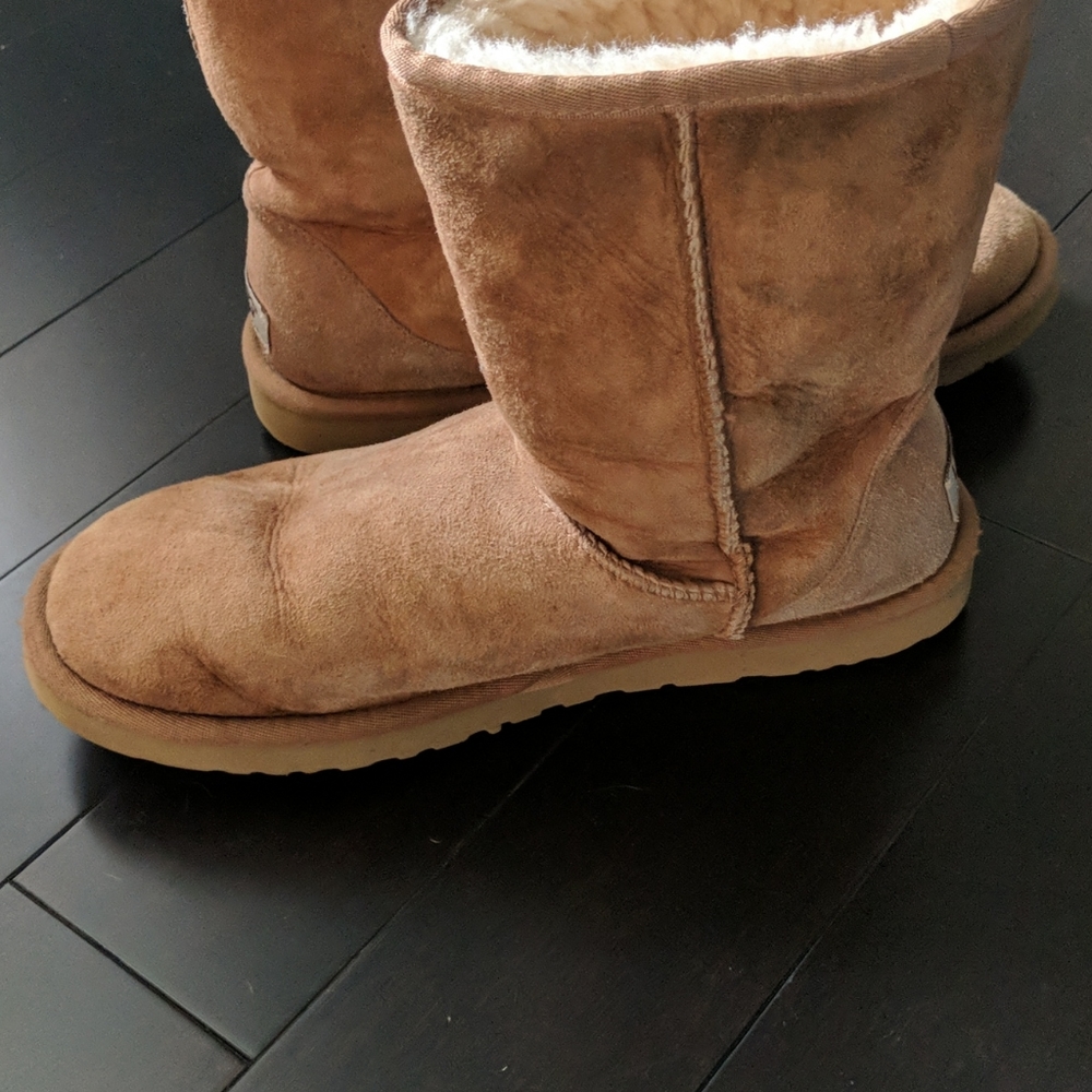 Classic Uggs - image 6